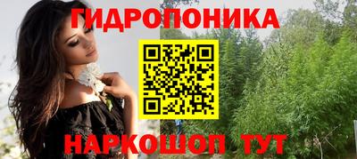эйфоретик Ставрополь