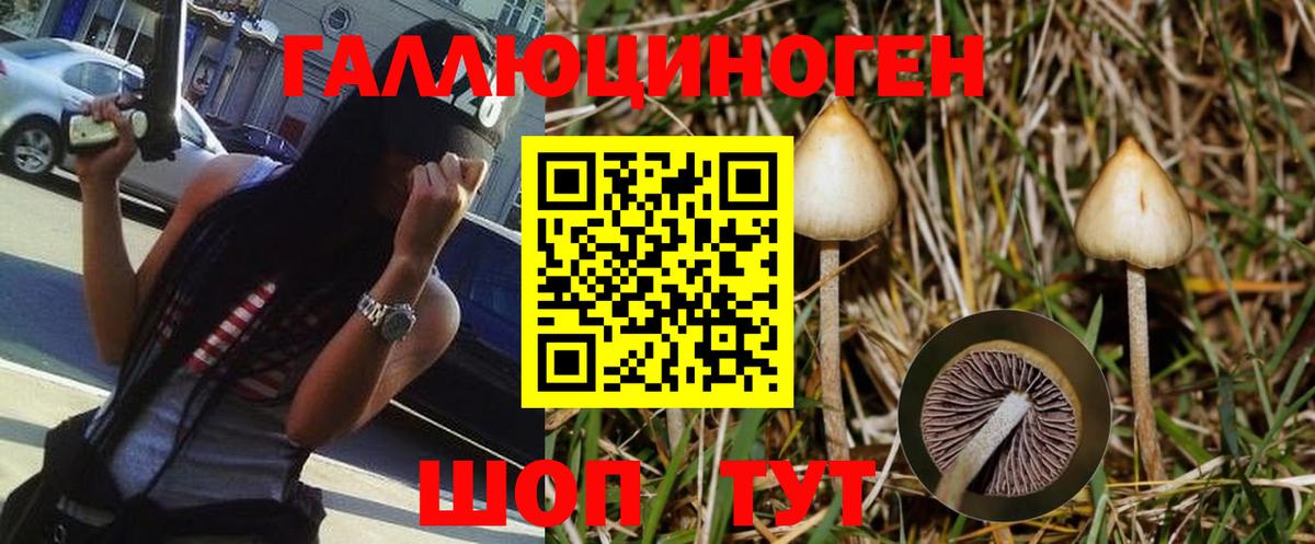 Буйнакск  Галлюциногенные грибы Cubensis  цены наркотик  Вход с VPN  Галлюциногенные грибы мухоморы 