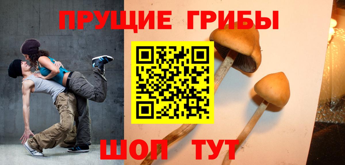 Псилоцибиновые грибы Magic Shrooms Буйнакск