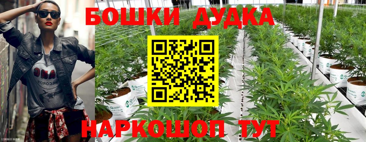 Бошки марихуана Amnesia  Вход с VPN  Буйнакск  Марихуана VHQ  Марихуана планчик 